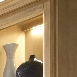 Ridgevalley Vitrine Breddin - Avec éclairage -Luxe Intérieur Magasin 1000084262 201004 11262500152 DETAILS P000000001000084262