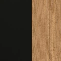 Temahome Étagère One - Chêne / Noir -Luxe Intérieur Magasin 1000172899 201016 13535900113 DETAILS P000000001000172899