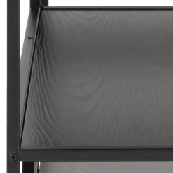 Red Living Étagère Coogee II - Noir -Luxe Intérieur Magasin 1000174112 190524 15511800103 GALLERYIMAGES P000000001000174112