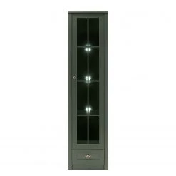 Ridgevalley Vitrine Beauville I - Vert mousse / Doré -Luxe Intérieur Magasin 1000196320 191127 09002800023 DETAILS P000000001000196320