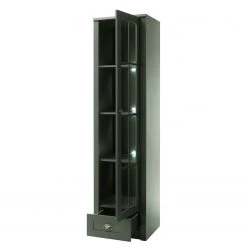 Ridgevalley Vitrine Beauville I - Vert mousse / Doré -Luxe Intérieur Magasin 1000196320 191127 09002800024 DETAILS P000000001000196320