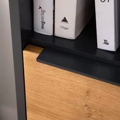 Red Living Buffet haut Barview - Placage en chêne - Chêne / Anthracite -Luxe Intérieur Magasin 1000218365 210413 12582000025 DETAILS P000000001000218365