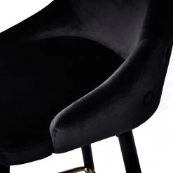 Jack & Alice Chaises capitonnées Loix (lot de 2) - Velours / Acier - Noir -Luxe Intérieur Magasin 1000234601 210115 12513500044 DETAILS P000000001000234601