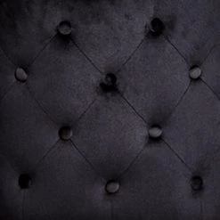 Jack & Alice Chaises capitonnées Loix (lot de 2) - Velours / Acier - Noir -Luxe Intérieur Magasin 1000234601 210115 12513500045 DETAILS P000000001000234601