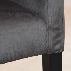 Velvet Studio Chaise à accoudoirs Meaux - Velours / Hêtre massif -Anthracite / Noir -Luxe Intérieur Magasin 1000241546 210121 14210800012 DETAILS P000000001000241546