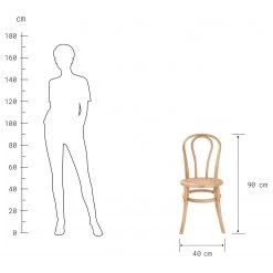 Butlers Chaises WIENER MELANGE (lot de 2) - Bois d’orme / Rotin - Naturel -Luxe Intérieur Magasin 1000344071 220406 500 SKETCH DETAILS P000000001000344071 sketch